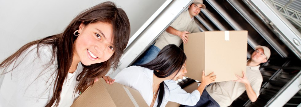 Professional Removalists Willow Banks
